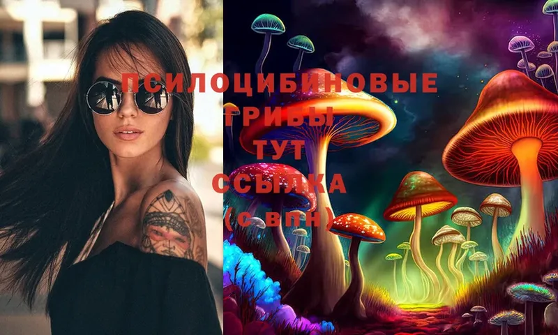 Галлюциногенные грибы Magic Shrooms  Красный Сулин 